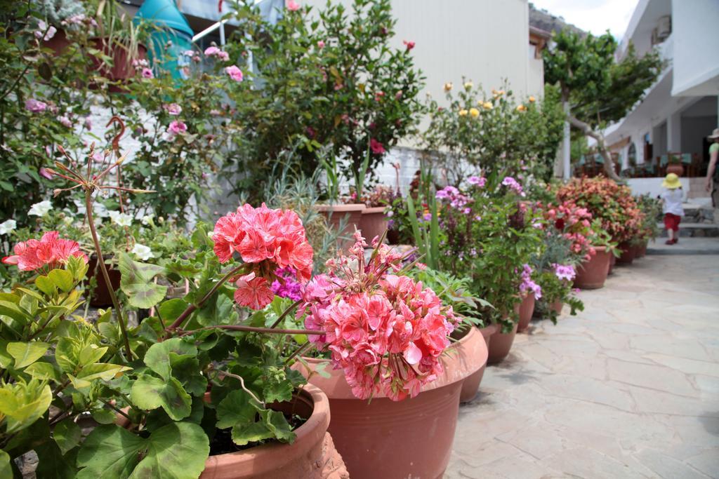 Paralia Guest House Agia Roumeli Dış mekan fotoğraf
