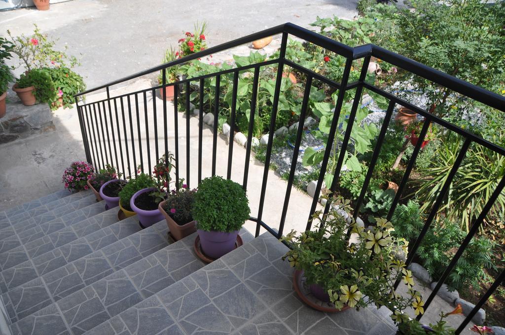 Paralia Guest House Agia Roumeli Dış mekan fotoğraf